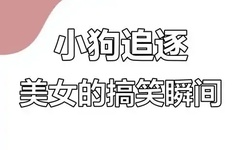 免费100种禁用的视频软件